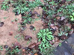 -顺鑫绿色度假村