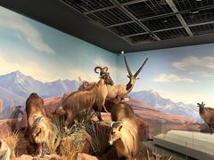 -陕西自然博物馆