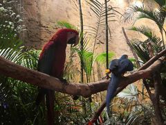 -杭州开元森泊度假乐园