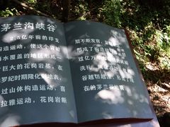 -茅兰沟国家森林公园