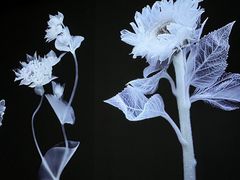 -时代美术馆-成都馆