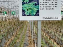 -上膳源有机农场