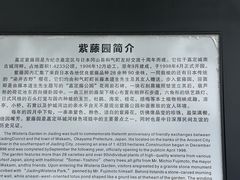 -嘉定紫藤园