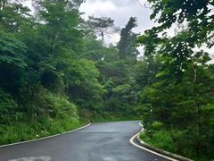 -火炉山森林公园