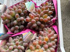 -马陆小张葡萄园农家乐