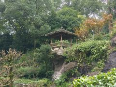 -南山植物园