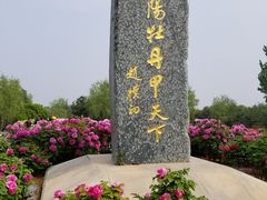-洛阳市牡丹公园