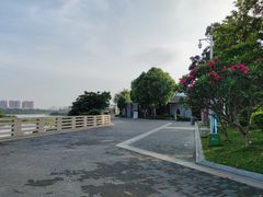 -立新湖公园