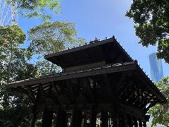 -布里斯班南岸公园