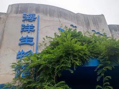 -青岛海底世界-水族馆