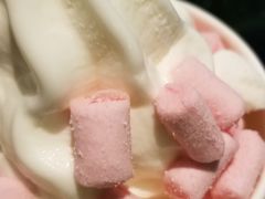 -Salud撒露欧洲冻酸奶(五道口购物中心店)