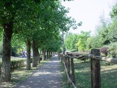 -白鹭湾湿地公园