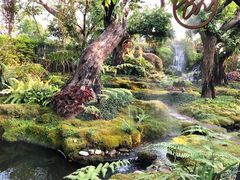 -Chom Cafe and Restaurant