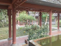 -广州神农草堂中医药博物馆