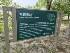 -大兴滨河森林公园