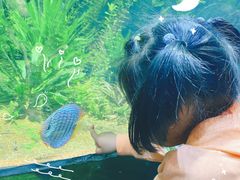 -江和美海洋公园
