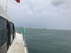 -枸杞岛
