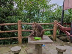 -峨眉山风景名胜区