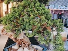 -湊湊火锅·茶憩(东城万达店)