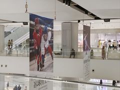 -TheRink大零溜冰场(IFS国金中心店)
