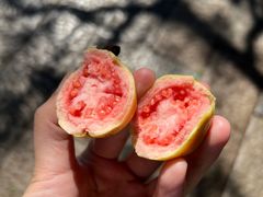 -路边小吃(临安春秋商业步行街店)