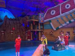 -烟台海昌鲸鲨海洋公园