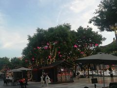 -德发长·花式蒸饺(大唐不夜城店)