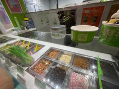 -Salud撒露欧洲冻酸奶(北苑上品店)