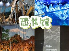 -中国西峡恐龙遗迹园