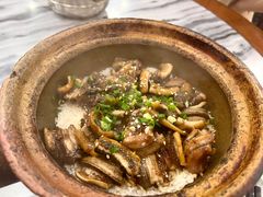 -红星光发煲仔饭(大石街店)