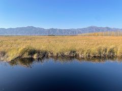 -野鸭湖国家湿地公园