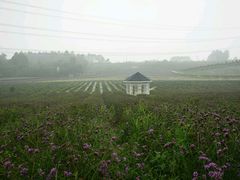 -紫颐香薰山谷景区