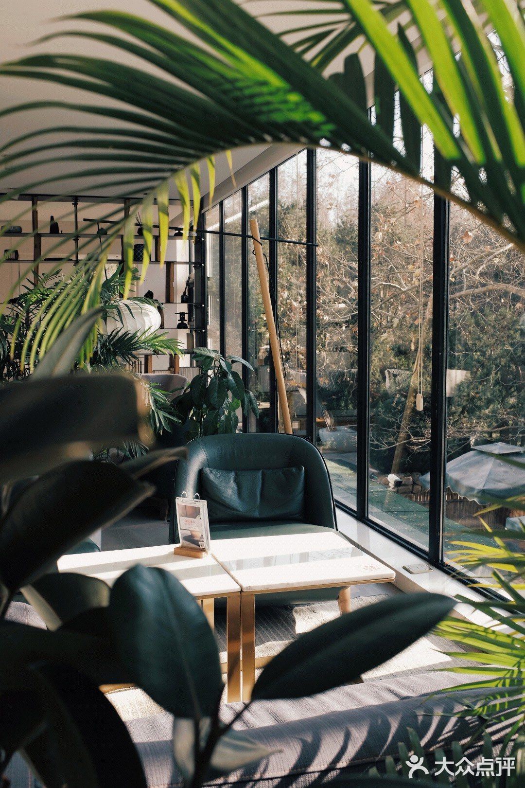 庭院内| 覆乘冬日夕曛之光