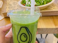 -油梨树AVOCADO TREE(嘉里中心店)