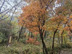 -玉渡山自然风景区