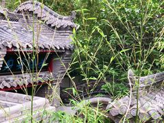 -老张烤羊(王哥庄店)