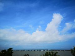 -宝安西湾红树林湿地公园