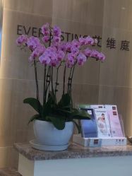 点击看大图 -艾维庭美容纤体SPA