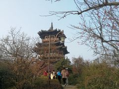 -杭州半山国家森林公园