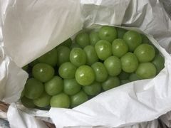 -马陆小张葡萄园农家乐