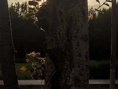 -汉长安城未央宫国家考古遗址公园