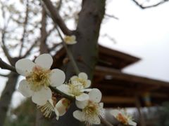 android_upload_pic-秀丽东方