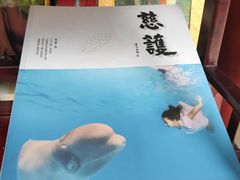 -罔极寺