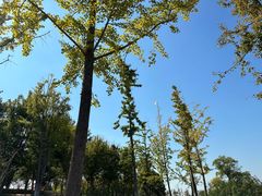 -滆湖低碳生态公园