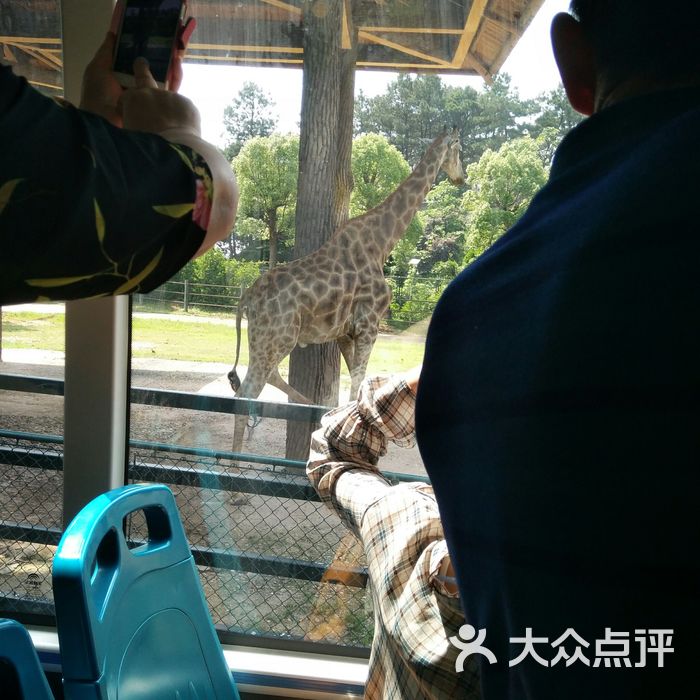 長沙生態動物園