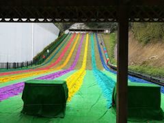 -梦幻奥陶纪景区