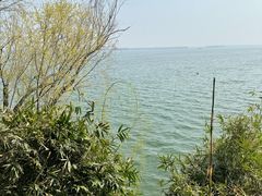 -湖滨客舍·湖北菜