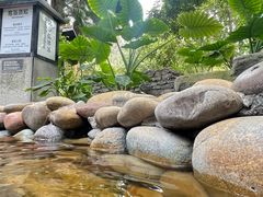 -融汇温泉