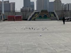 -海河外滩公园