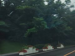 -棒棰岛宾馆景区